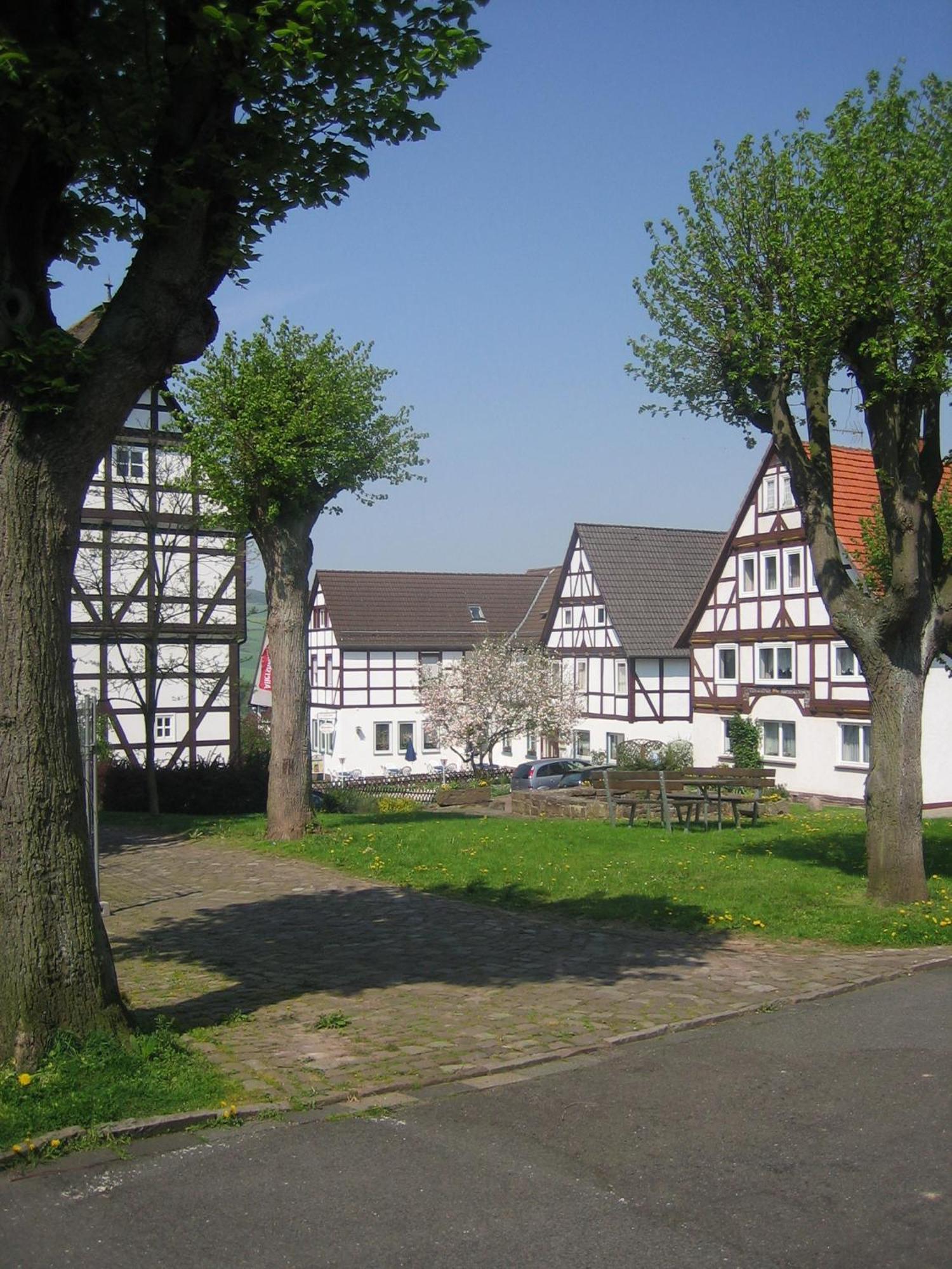 Hotel & Restaurant - Gasthaus Brandner Trendelburg Экстерьер фото